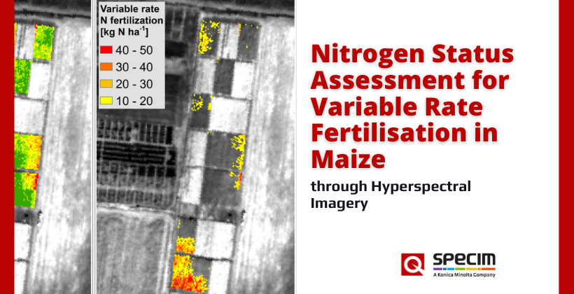 Nitrogen Status Assessment for Variable Rate Fertilisation in Maize through Hyperspectral Imagery